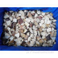 cogumelo boletus cozido congelado-300g